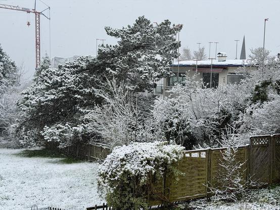 Ein ruhiger Wintergarten: Schnee bedeckt Bäume, Sträucher und den Holzzaun. Im Hintergrund steht ein Wohnhaus mit mehreren Antennen auf dem Dach. Eine rote Baukranstruktur ragt über die Szenerie. Die Atmosphäre wirkt still, kalt und leicht neblig, als hätte es gerade frisch geschneit.
